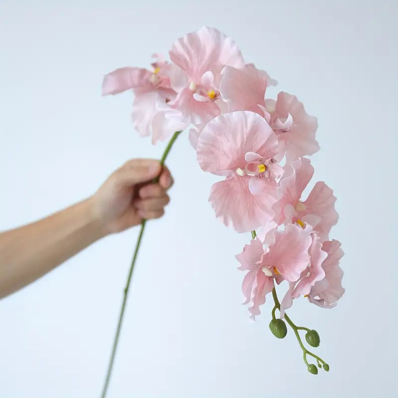 Long Branch Butterfly Orchids  - огляд і ціна Christmas Wreath Fake